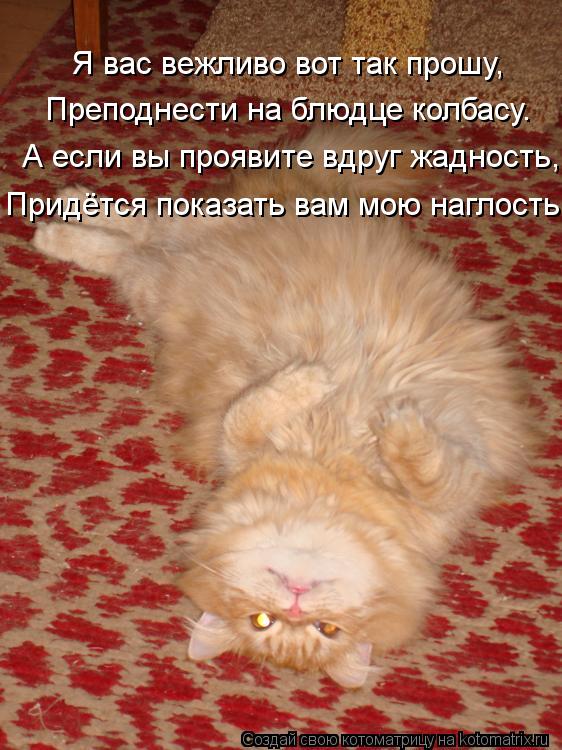 Котоматрица: А если вы проявите вдруг жадность, Преподнести на блюдце колбасу. Я вас вежливо вот так прошу, Придётся показать вам мою наглость.