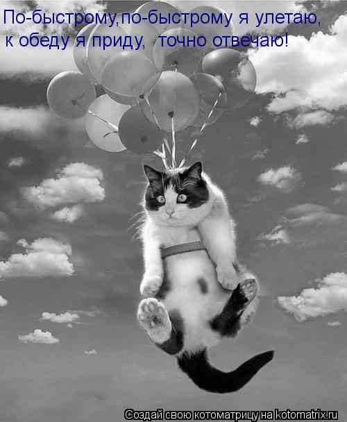 Котоматрица: По-быстрому,по-быстрому я улетаю,  к обеду я приду,  точно отвечаю!