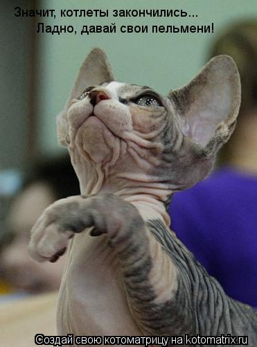 Котоматрица: Значит, котлеты закончились... Ладно, давай свои пельмени!