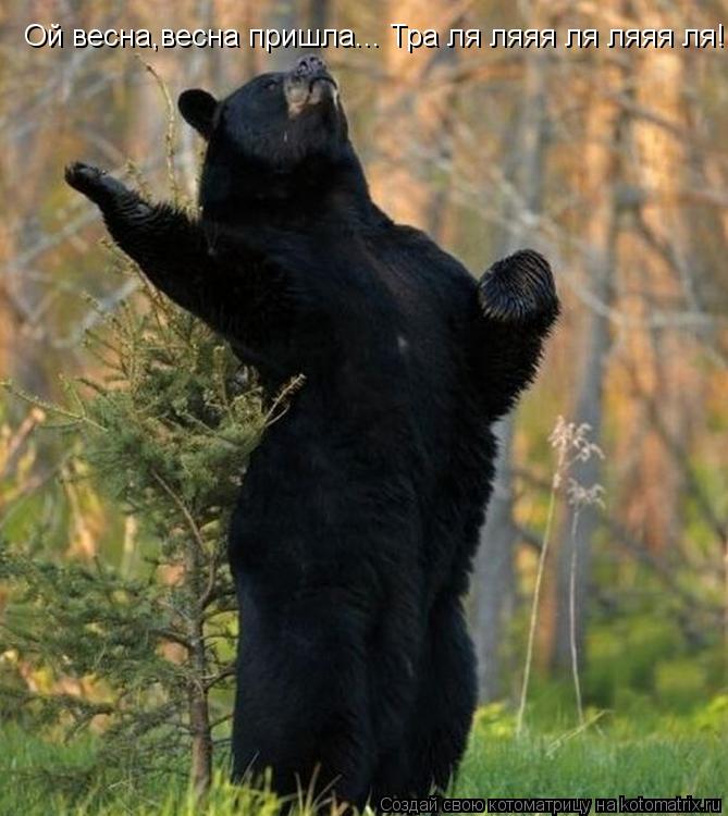 Котоматрица: Ой весна,весна пришла... Тра ля ляяя ля ляяя ля!
