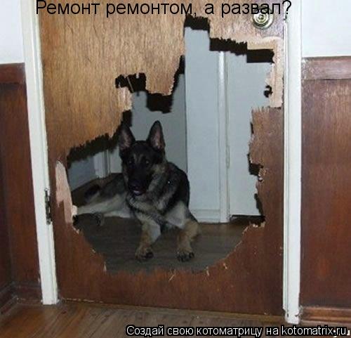 Котоматрица: Ремонт ремонтом, а развал?