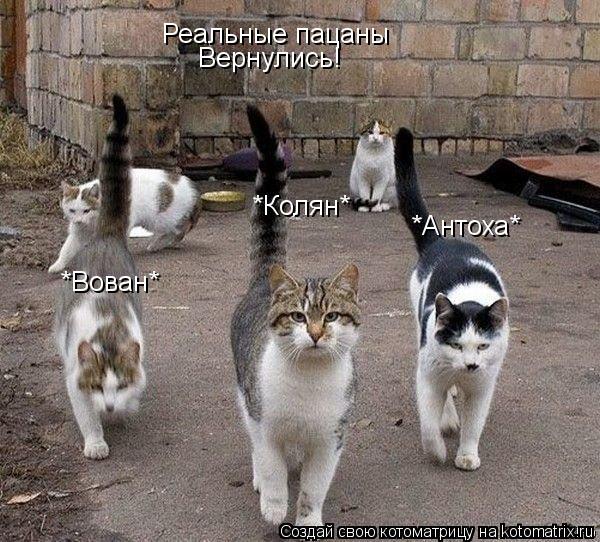 Котоматрица: Реальные пацаны Вернулись! *Колян* *Вован* *Антоха*
