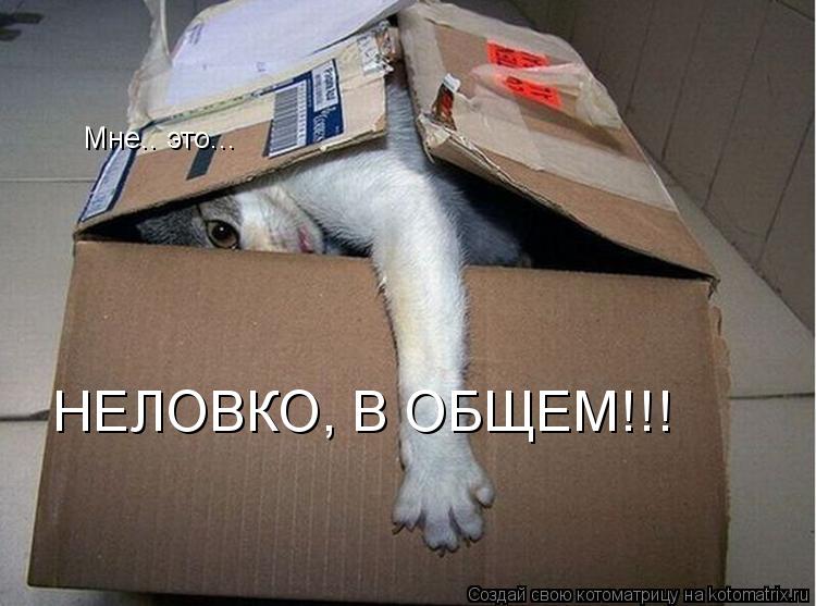 Котоматрица: Mне.. это... НЕЛОВКО, В ОБЩЕМ!!!