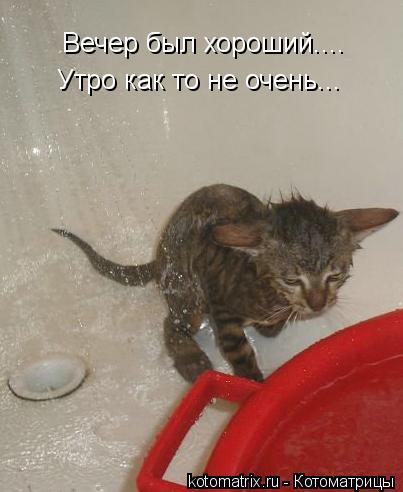 Котоматрица: Вечер был хороший.... Утро как то не очень...