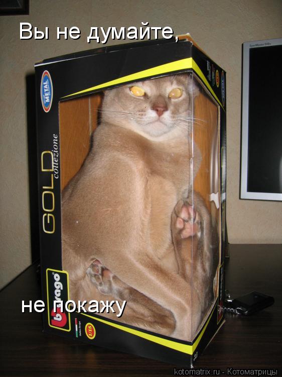 Котоматрица: Вы не думайте, не покажу