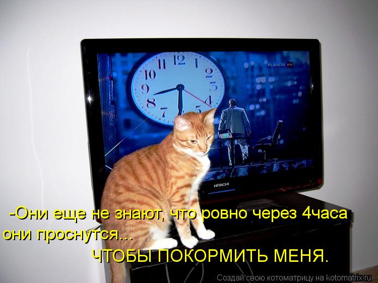 Котоматрица: -Они еще не знают, что ровно через 4часа они проснутся... ЧТОБЫ ПОКОРМИТЬ МЕНЯ.