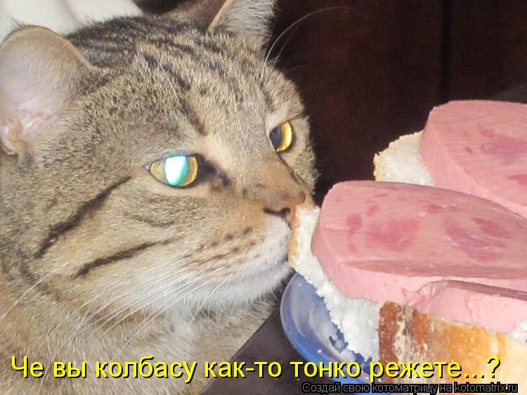 Котоматрица: Че вы колбасу как-то тонко режете...?