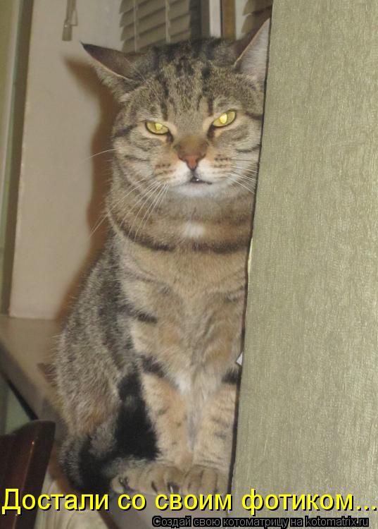 Котоматрица: Достали со своим фотиком...