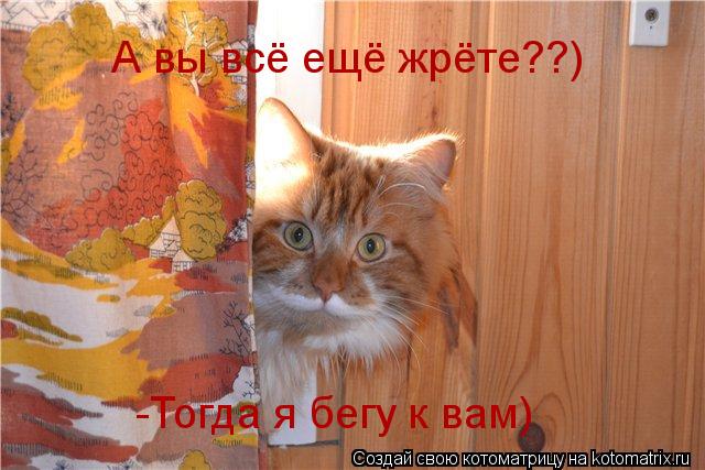 Котоматрица: А вы всё ещё жрёте??) -Тогда я бегу к вам)