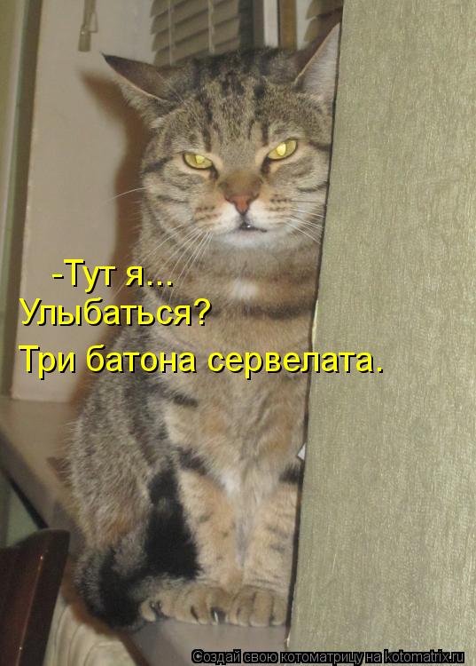 Котоматрица: -Тут я... Улыбаться? Три батона сервелата.