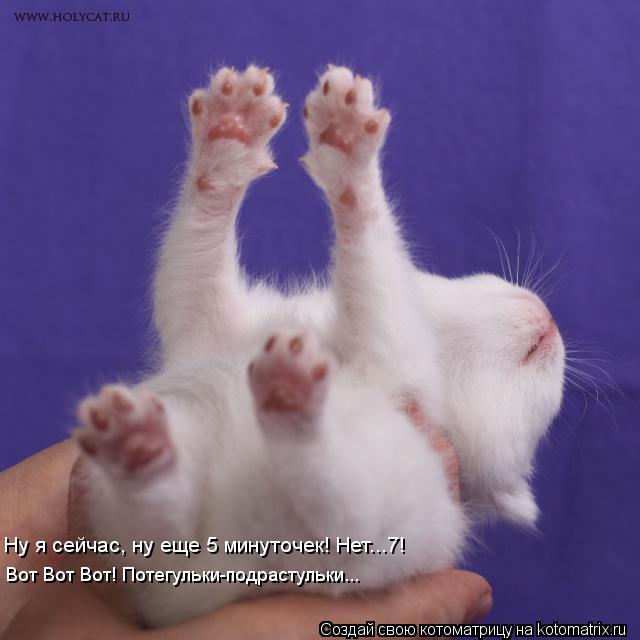 Котоматрица: Ну я сейчас, ну еще 5 минуточек! Нет...7!  Вот Вот Вот! Потегульки-подрастульки...