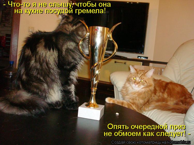Котоматрица: - Что-то я не слышу, чтобы она  на кухне посудой гремела! Опять очередной приз не обмоем как следует! -
