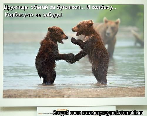 Котоматрица: Дружище, сбегай за бутылкой... И колбасу... Колбасу-то не забудь!