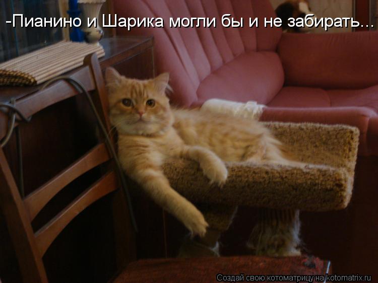 Котоматрица: -Пианино и Шарика могли бы и не забирать...