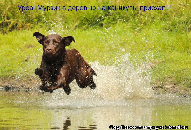 Котоматрица: Урра! Мурзик в деревню на каникулы приехал!!!