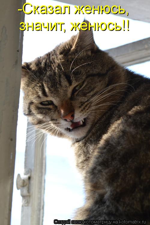 Котоматрица: -Сказал женюсь,  значит, женюсь!!