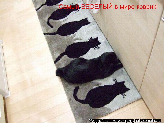 Котоматрица: Самый ВЕСЕЛЫЙ в мире коврик!