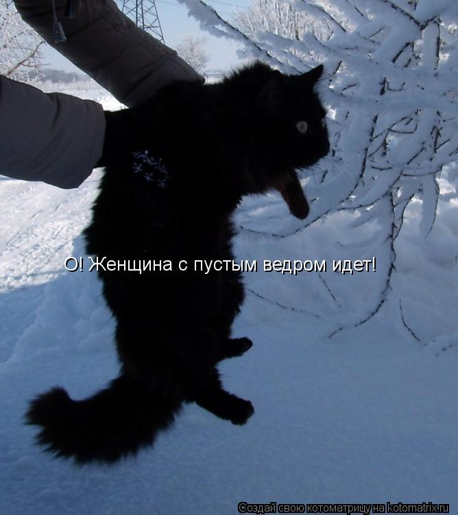 О! Женщина с пустым ведром идет!... Котоматрица: О! Женщина с пустым ведром идет!