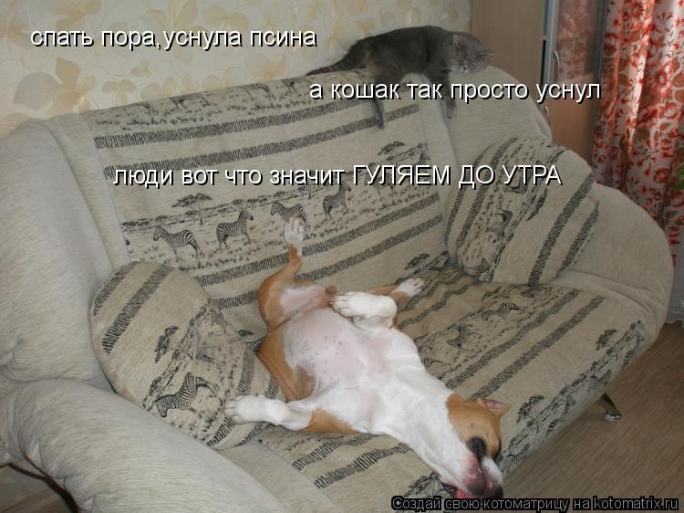 Котоматрица: спать пора,уснула псина а кошак так просто уснул люди вот что значит ГУЛЯЕМ ДО УТРА