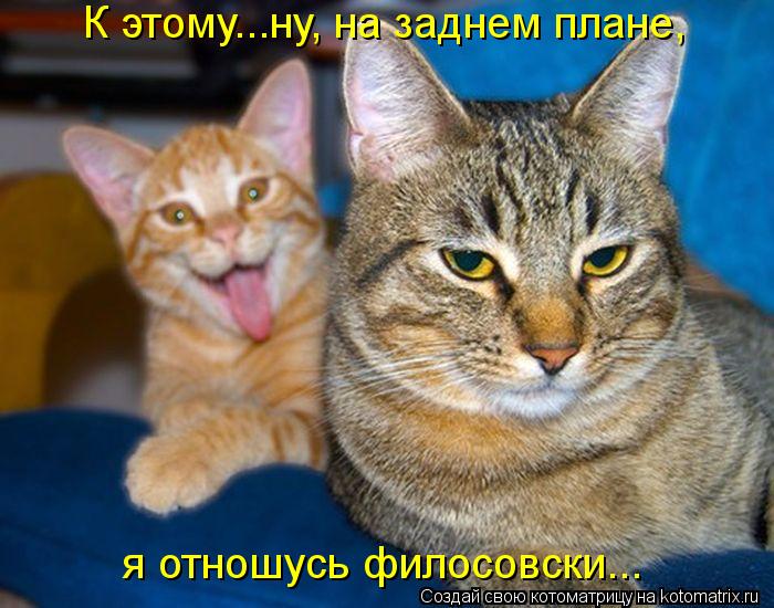 я отношусь филосовски... К этому...ну, на заднем плане,... Котоматрица: я отношусь филосовски... К этому...ну, на заднем плане,
