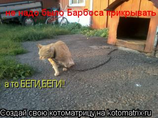 Котоматрица: не надо было Барбоса прикрывать а то БЕГИ,БЕГИ!!