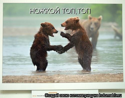 НОЖКОЙ ТОП,ТОП НОЖКОЙ ТОП,ТОП... Котоматрица: НОЖКОЙ ТОП,ТОП НОЖКОЙ ТОП,ТОП