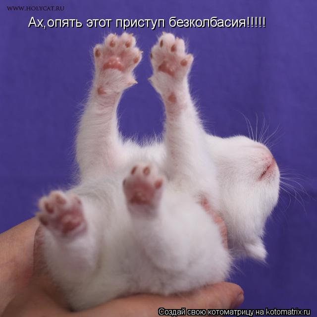 Котоматрица: Ах,опять этот приступ безколбасия!!!!!