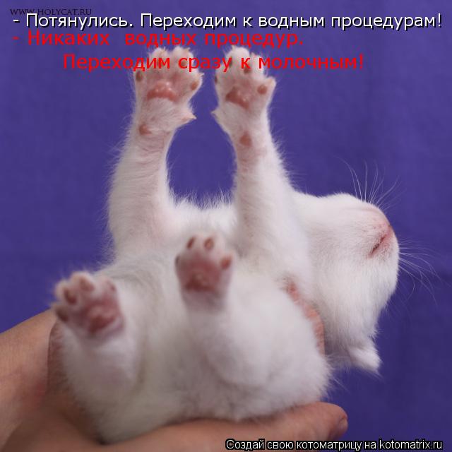 - Потянулись. Переходим к водным процедурам! Переходим сразу к молочным! - Никаких водных процедур.... Котоматрица: - Потянулись. Переходим к водным процедурам! Переходим сразу к молочным! - Никаких водных процедур.