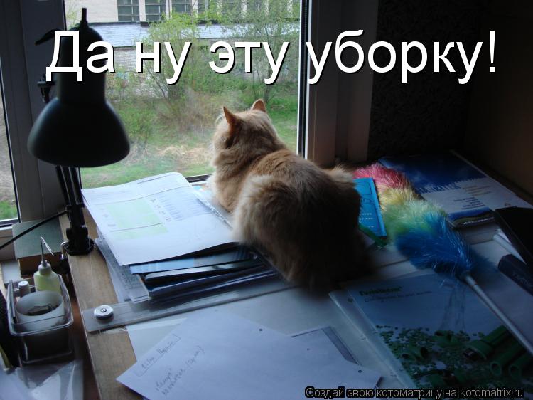 Да ну эту уборку! Интересно, где Да ну эту уборку! Интересно, где Да ну эту уборку!... Котоматрица: Да ну эту уборку! Интересно, где Да ну эту уборку! Интересно, где Да ну эту уборку!