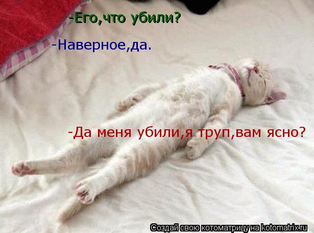 -Его,что убили? -Наверное,да. -Да меня убили,я труп,вам ясно?... Котоматрица: -Его,что убили? -Наверное,да. -Да меня убили,я труп,вам ясно?