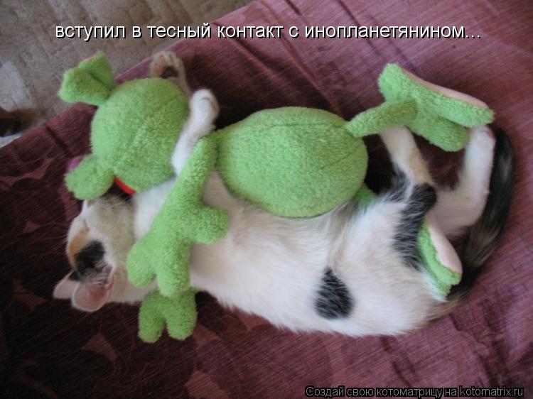 вступил в тесный контакт с инопланетянином...... Котоматрица: вступил в тесный контакт с инопланетянином...