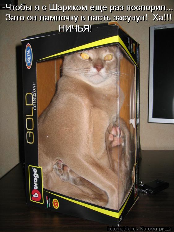 -Чтобы я с Шариком еще раз поспорил... Зато он лампочку в пасть засунул! Ха!!! НИЧЬЯ!... Котоматрица: -Чтобы я с Шариком еще раз поспорил... Зато он лампочку в пасть засунул! Ха!!! НИЧЬЯ!