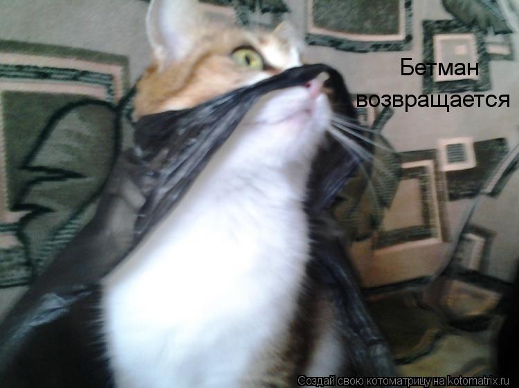 Бетман возвращается... Котоматрица: Бетман возвращается