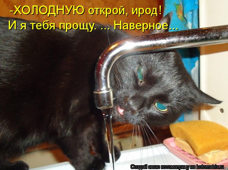 -ХОЛОДНУЮ открой, ирод! И я тебя прощу. ... Наверное...... Котоматрица: -ХОЛОДНУЮ открой, ирод! И я тебя прощу. ... Наверное...