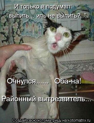 И только я подумал: "выпить... иль не выпить?.." Очнулся...... Оба-на! Районный вытрезвитель...... Котоматрица: И только я подумал: "выпить... иль не выпить?.." Очнулся...... Оба-на! Районный вытрезвитель...