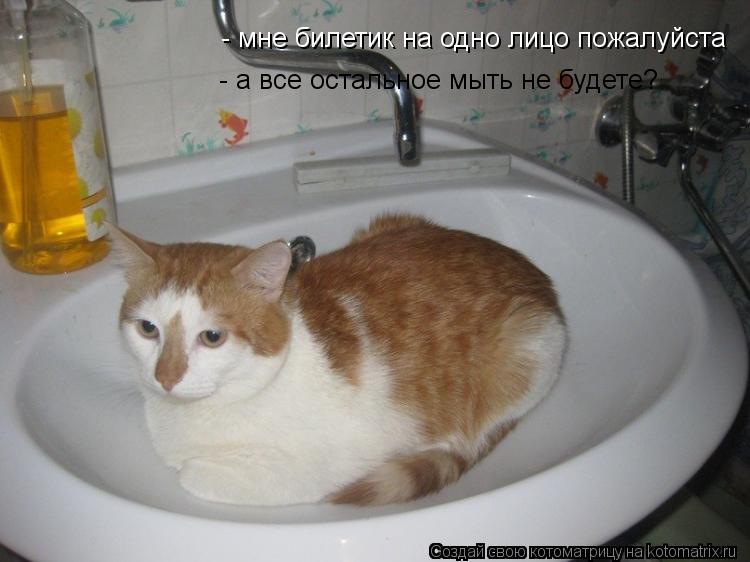 - мне билетик на одно лицо пожалуйста - а все остальное мыть не будете?... Котоматрица: - мне билетик на одно лицо пожалуйста - а все остальное мыть не будете?