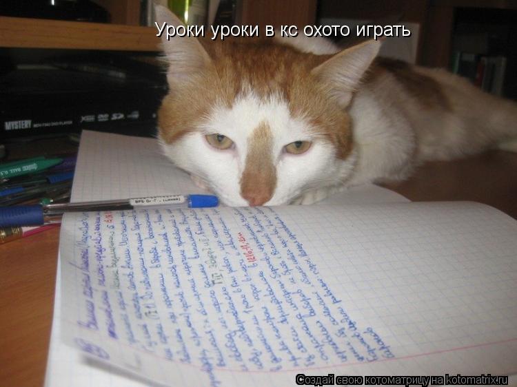 Уроки уроки в кс охото играть... Котоматрица: Уроки уроки в кс охото играть