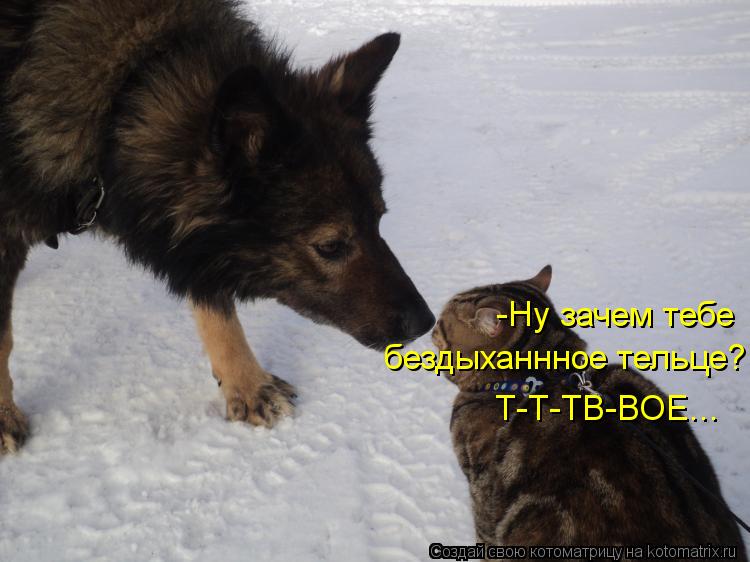 -Ну зачем тебе бездыханнное тельце? Т-Т-ТВ-ВОЕ...... Котоматрица: -Ну зачем тебе бездыханнное тельце? Т-Т-ТВ-ВОЕ...