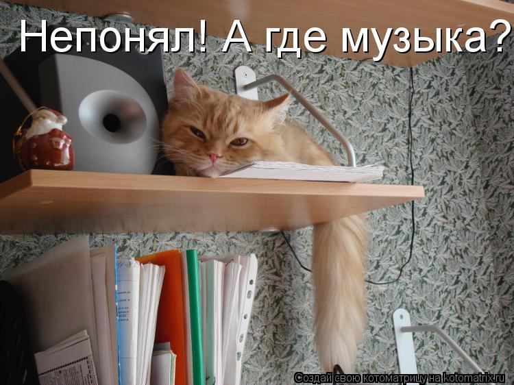 Непонял! А где музыка?... Котоматрица: Непонял! А где музыка?