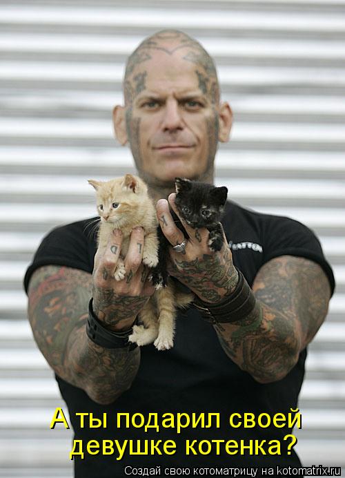 А ты подарил своей девушке котенка?... Котоматрица: А ты подарил своей девушке котенка?
