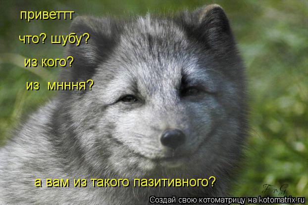 приветтт что? шубу? из кого? из мнння? а вам из такого пазитивного?... Котоматрица: приветтт что? шубу? из кого? из мнння? а вам из такого пазитивного?
