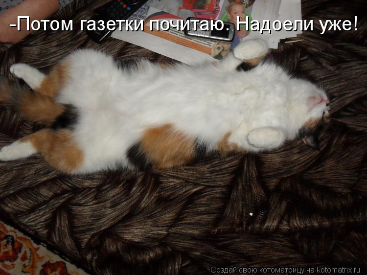 -Потом газетки почитаю. Надоели уже!... Котоматрица: -Потом газетки почитаю. Надоели уже!
