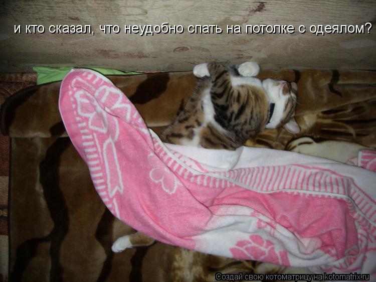 Котоматрица: и кто сказал, что неудобно спать на потолке с одеялом?