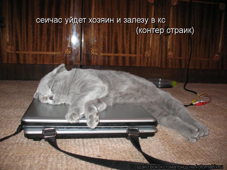 сеичас уйдет хозяин и залезу в кс (контер страик)... Котоматрица: сеичас уйдет хозяин и залезу в кс (контер страик)