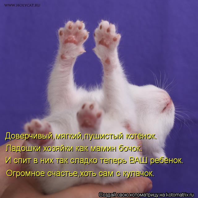 Доверчивый,мягкий,пушистый котёнок. Ладошки хозяйки как мамин бочок. И спит в них так сладко теперь В... Котоматрица: Доверчивый,мягкий,пушистый котёнок. Ладошки хозяйки как мамин бочок. И спит в них так сладко теперь ВАШ ребёнок. Огромное счастье,хоть сам с