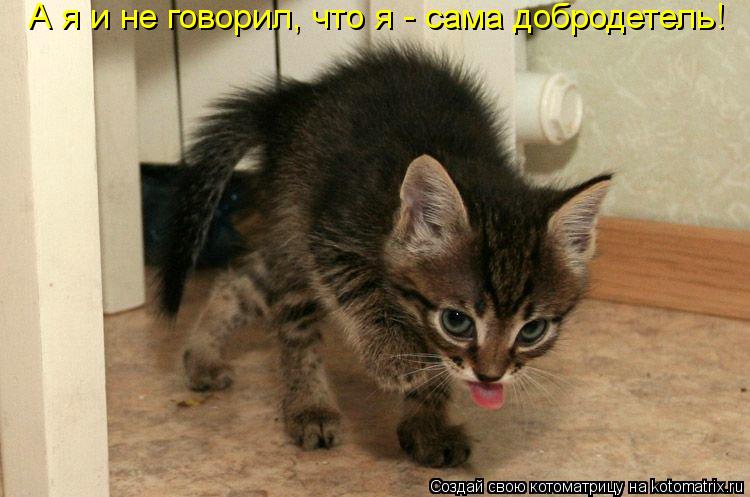 А я и не говорил, что я - сама добродетель!... Котоматрица: А я и не говорил, что я - сама добродетель!