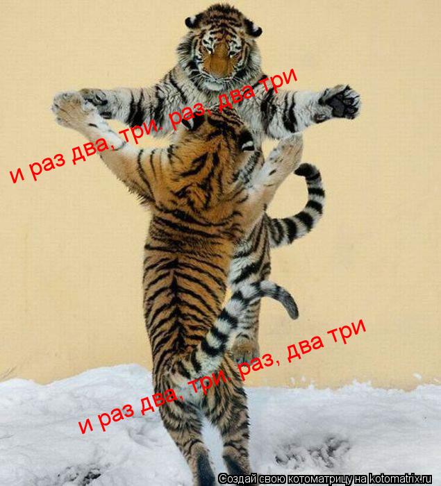 и раз два, три. раз, два три и раз два, три. раз, два три... Котоматрица: и раз два, три. раз, два три и раз два, три. раз, два три