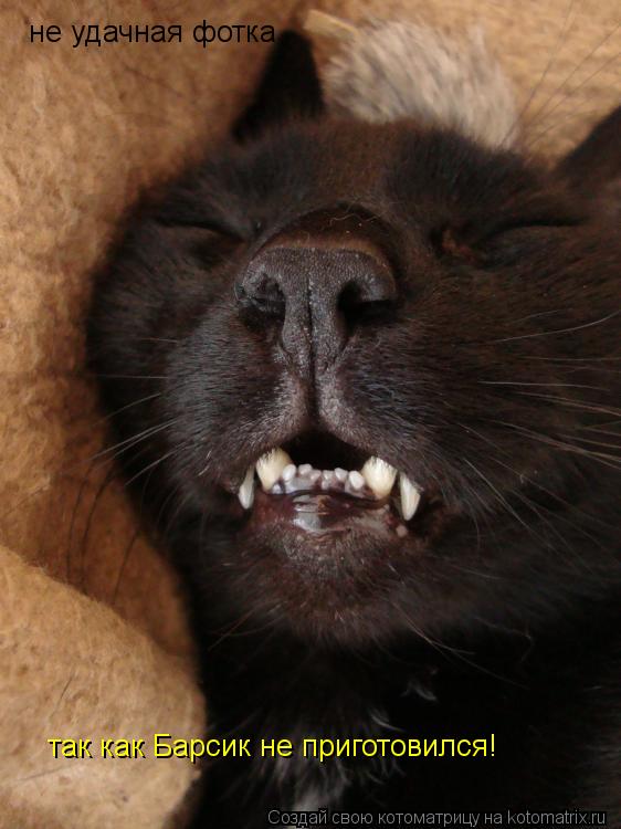 не удачная фотка так как Барсик не приготовился!... Котоматрица: не удачная фотка так как Барсик не приготовился!