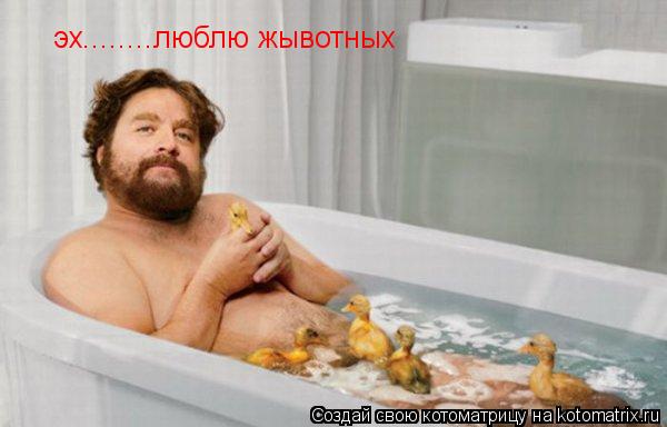 эх........люблю жывотных... Котоматрица: эх........люблю жывотных