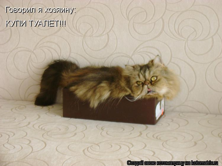 Говорил я хозяину: КУПИ ТУАЛЕТ!!!... Котоматрица: Говорил я хозяину: КУПИ ТУАЛЕТ!!!